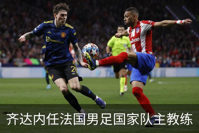 齐达内任法国男足国家队主教练